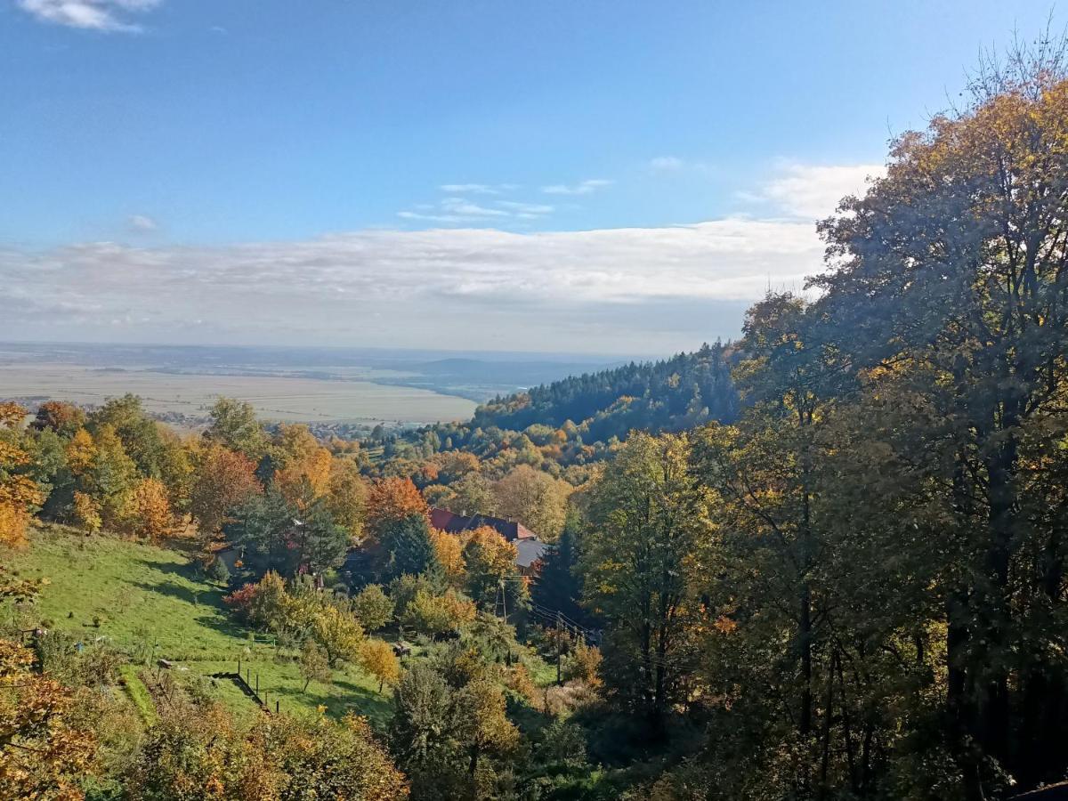 Villa Hubertus Srebrna Góra Екстериор снимка
