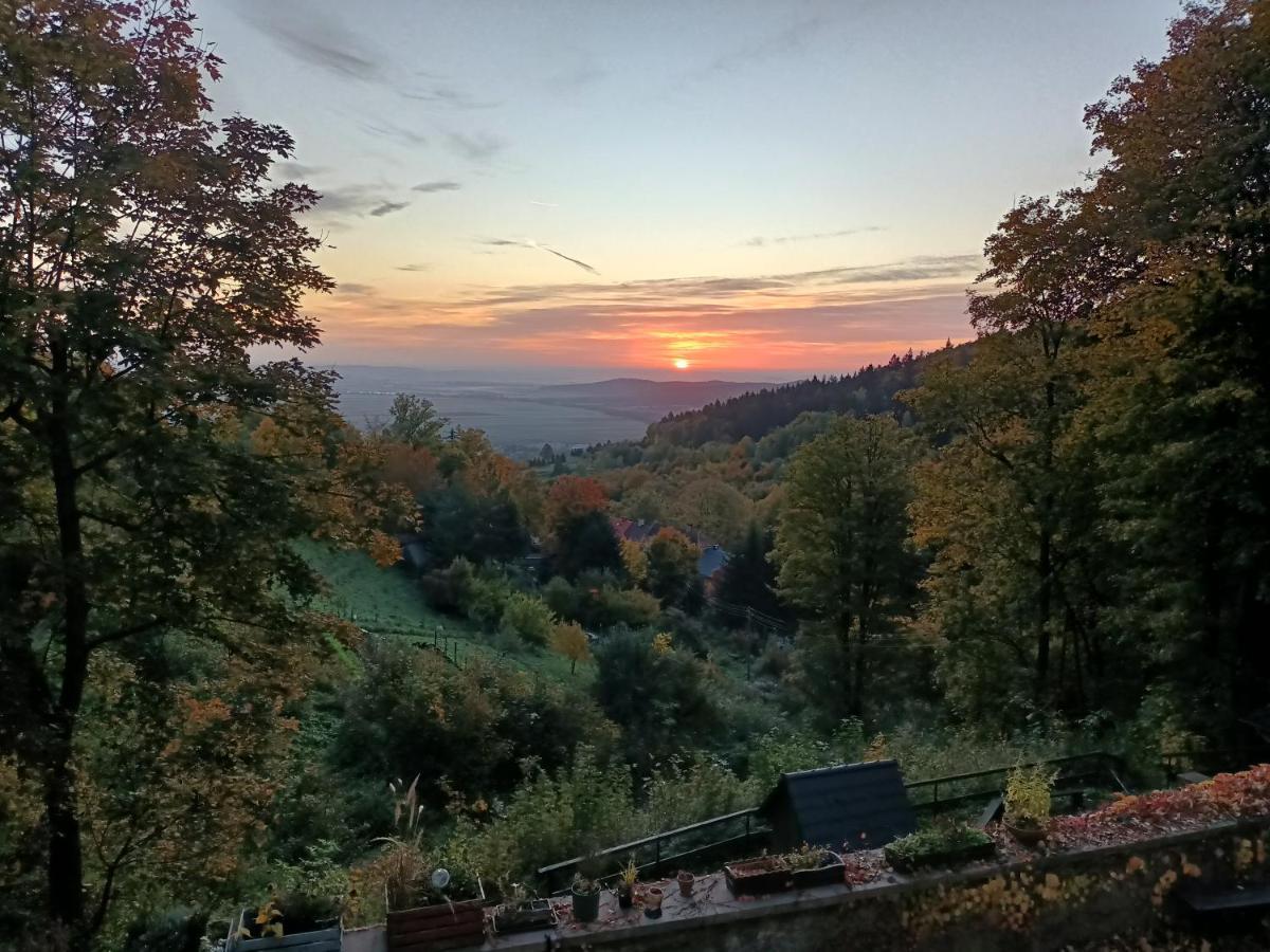 Villa Hubertus Srebrna Góra Екстериор снимка