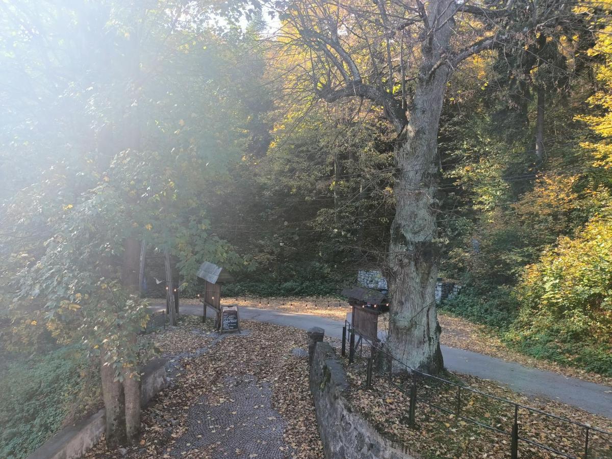 Villa Hubertus Srebrna Góra Екстериор снимка