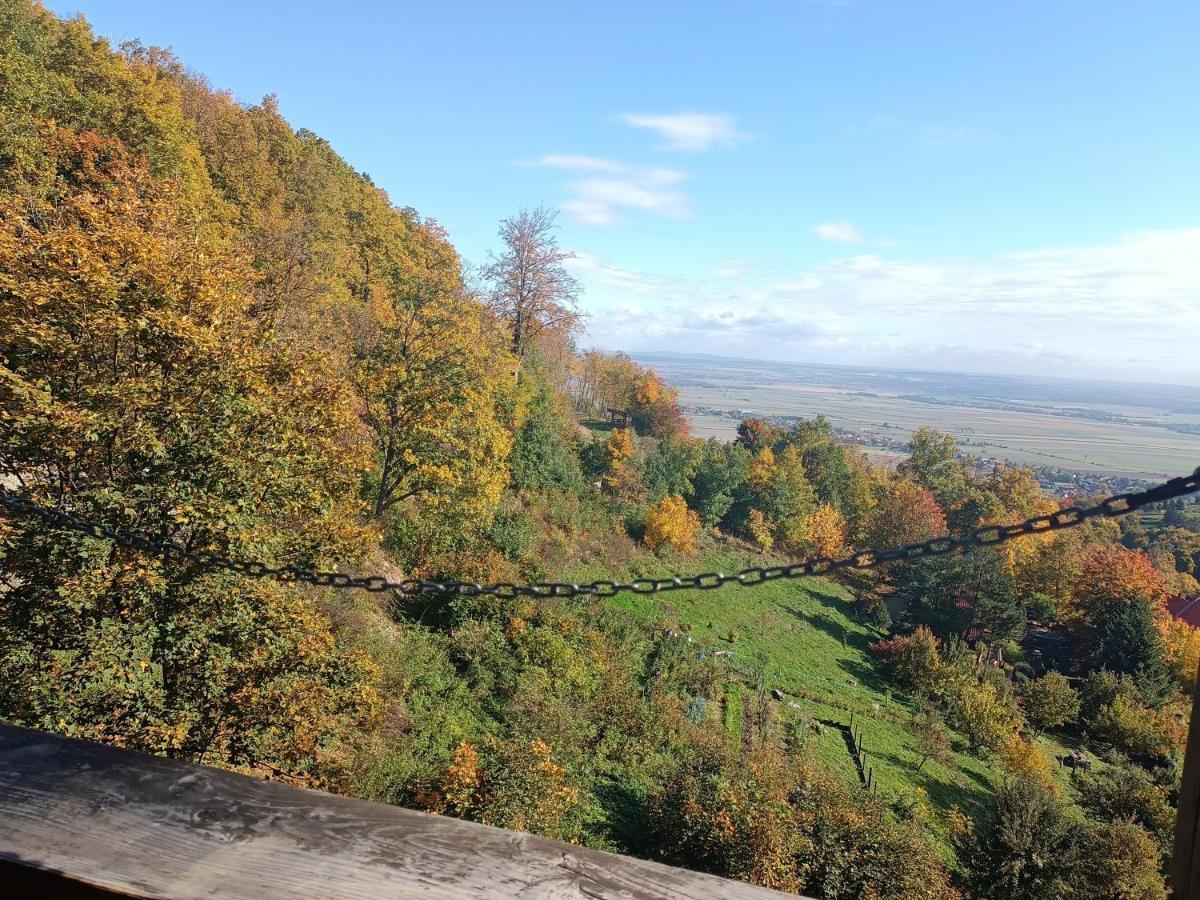 Villa Hubertus Srebrna Góra Екстериор снимка