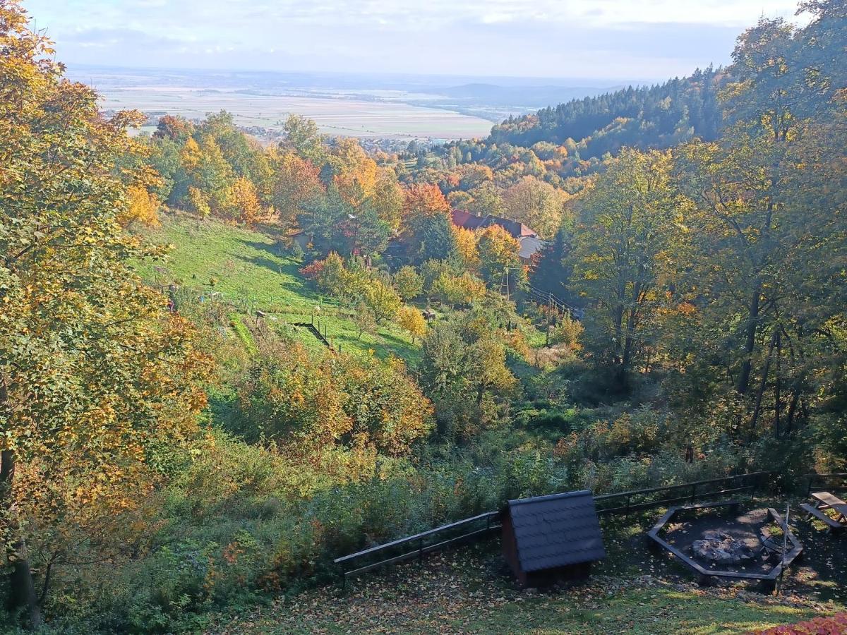 Villa Hubertus Srebrna Góra Екстериор снимка
